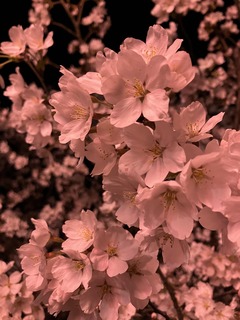 438083373_3658276767752007_6947051584693555456_n.jpg
