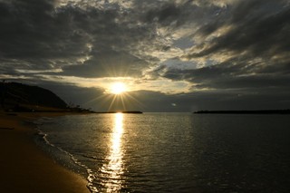 DSC_6793_20241118095505.jpg
